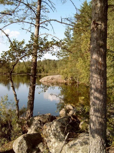 Album 3 - Seen in der Umgebung