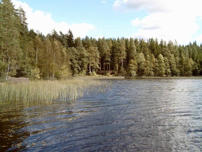 Album 3 - Seen in der Umgebung