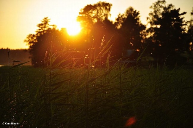 Album 4 - Impressionen