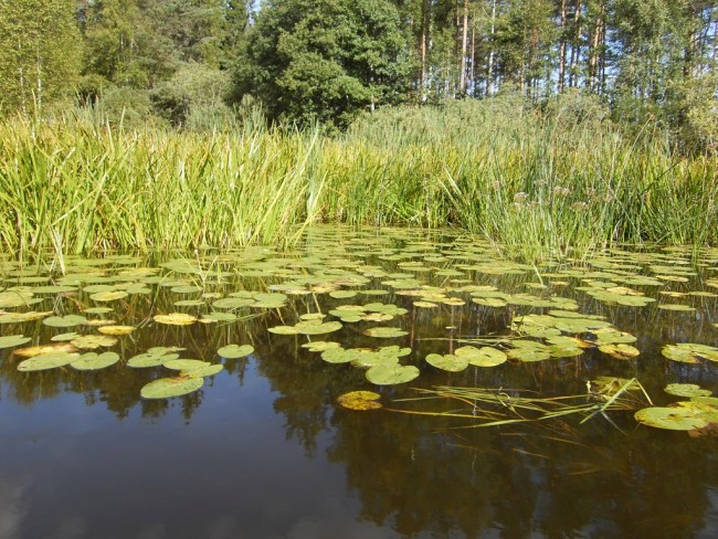 Album 4 - Impressionen