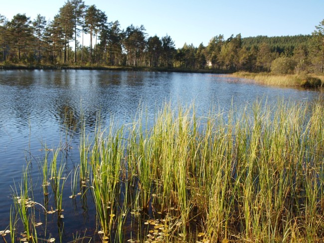 Album 4 - Impressionen