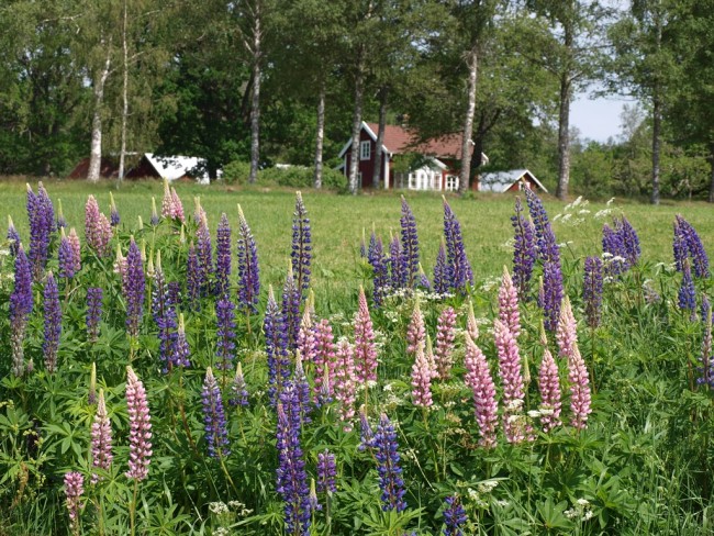 Album 4 - Impressionen