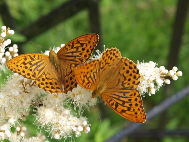 Album 4 - Impressionen