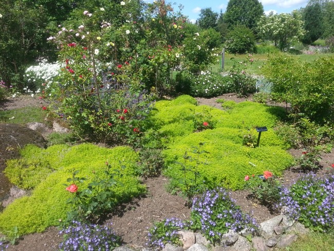 Album 4 - Impressionen