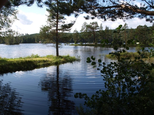 Album 4 - Impressionen