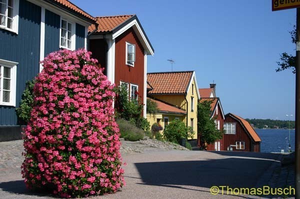 Album 5 - Bilder von Gästen