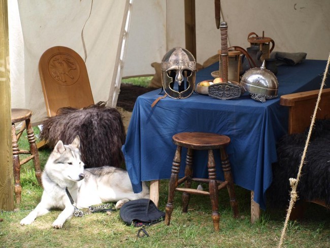 Album 6 - Wikingermarkt Vetlanda