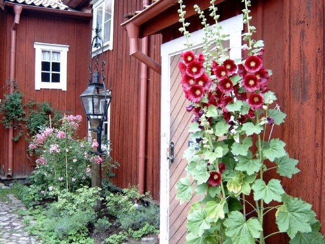 Album 7 - Ausflugsziele