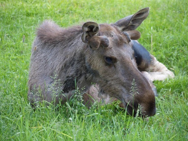 Album 7 - Ausflugsziele