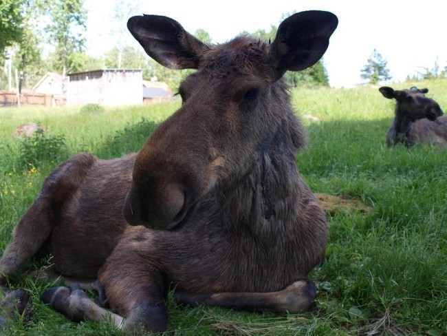 Album 7 - Ausflugsziele