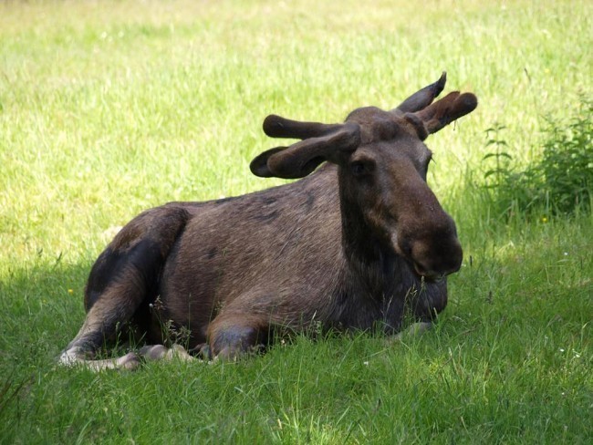 Album 7 - Ausflugsziele