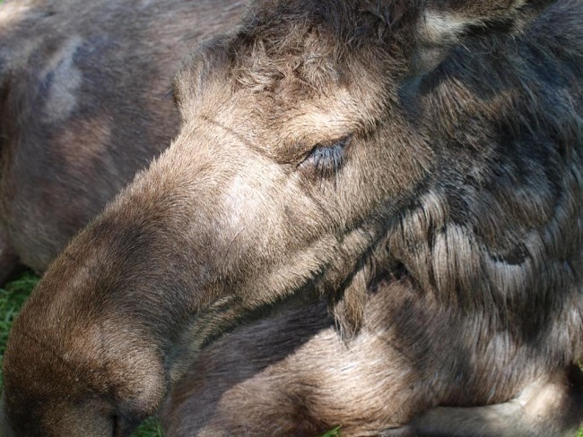 Album 7 - Ausflugsziele