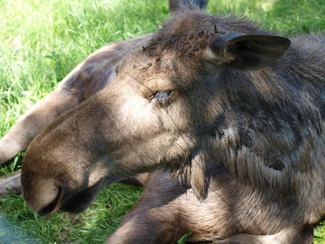 Album 7 - Ausflugsziele