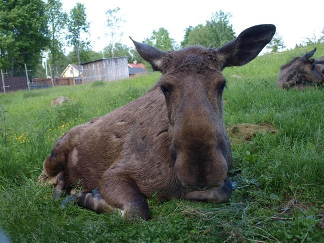 Album 7 - Ausflugsziele