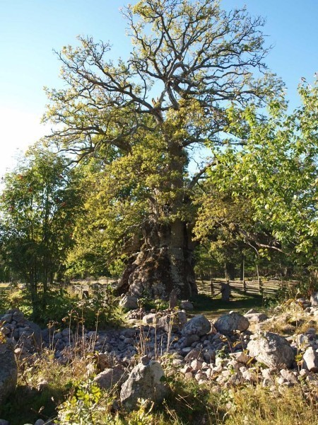 Album 7 - Ausflugsziele