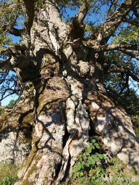 Album 7 - Ausflugsziele