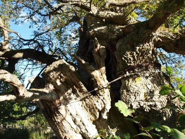 Album 7 - Ausflugsziele