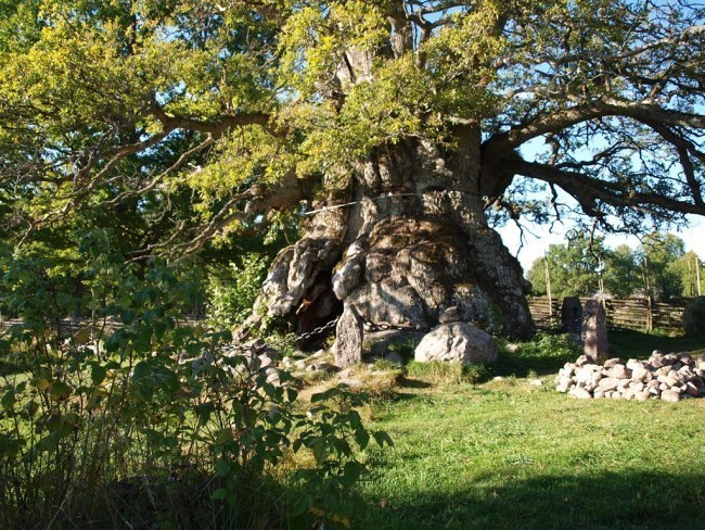 Album 7 - Ausflugsziele