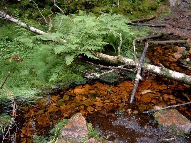 Album 7 - Ausflugsziele